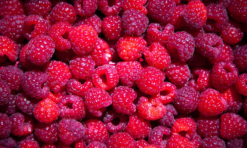 Québec raspberry, Fruits et légumes