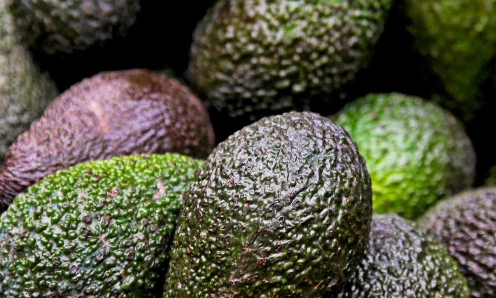Organic avocado, Produits biologiques