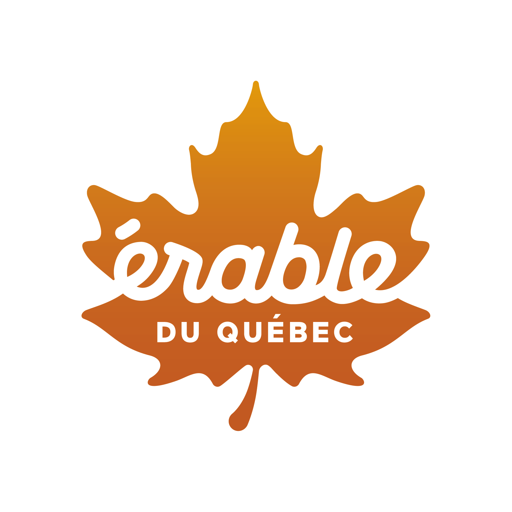 érable logo