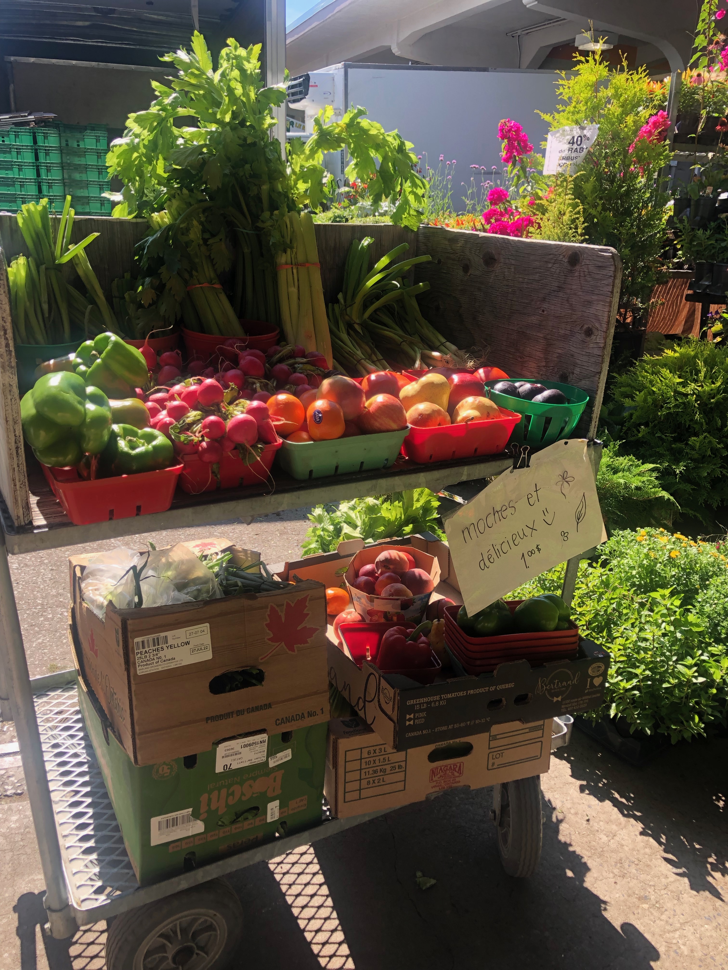 Paniers à prix réduit Marché Jean-Talon