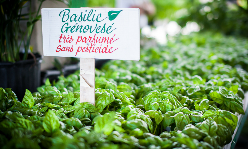 fines herbes