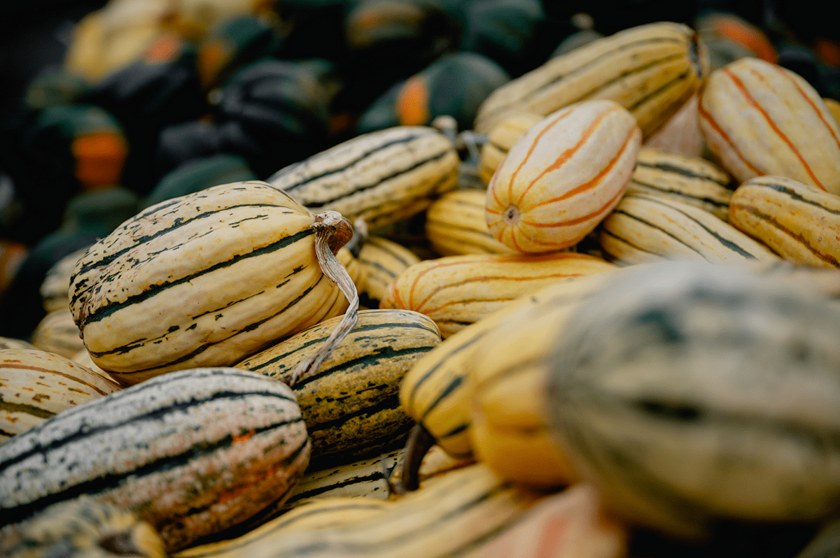 Courges