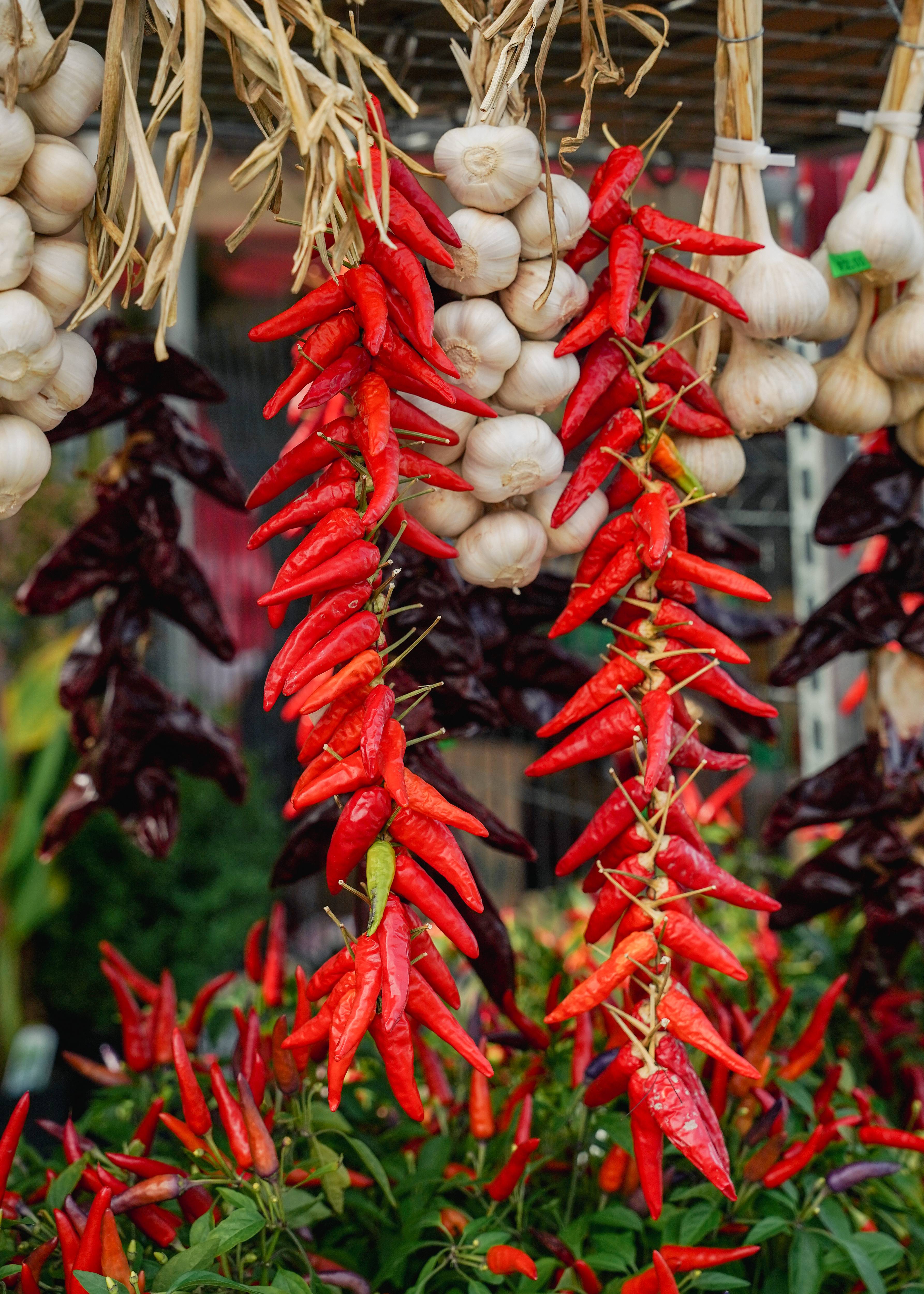 Piments forts Marché Jean-talon