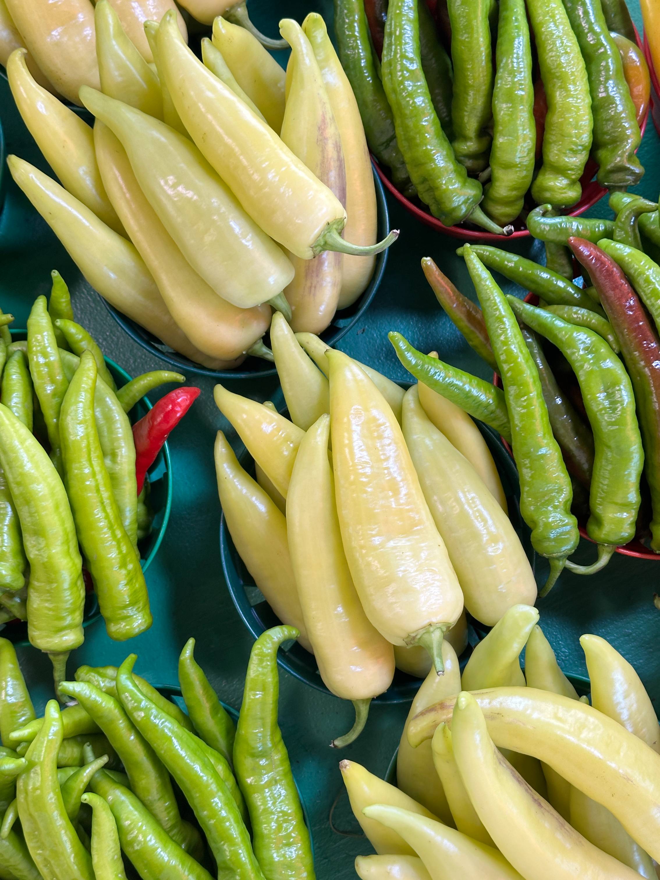 Piments forts Marché Jean-talon