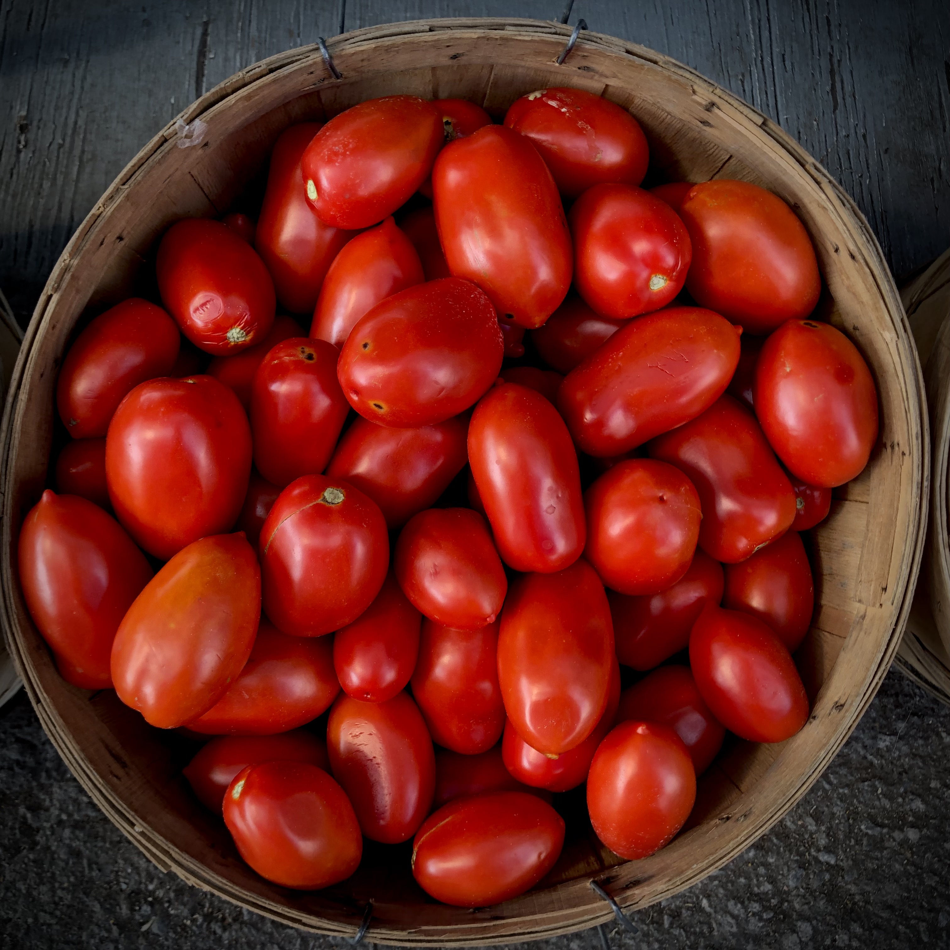 tomate san marzano