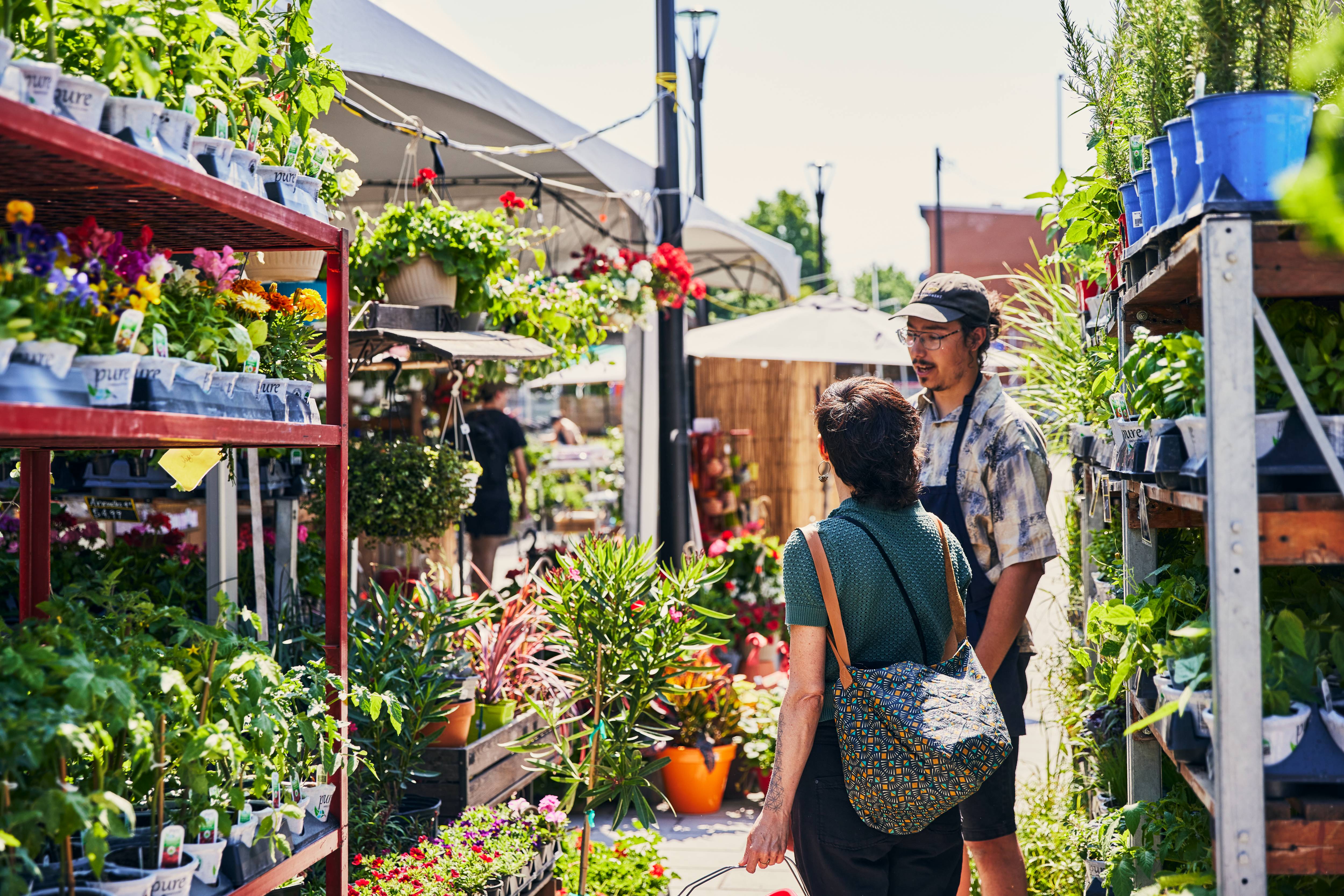 Marché de Quartier Montroyal