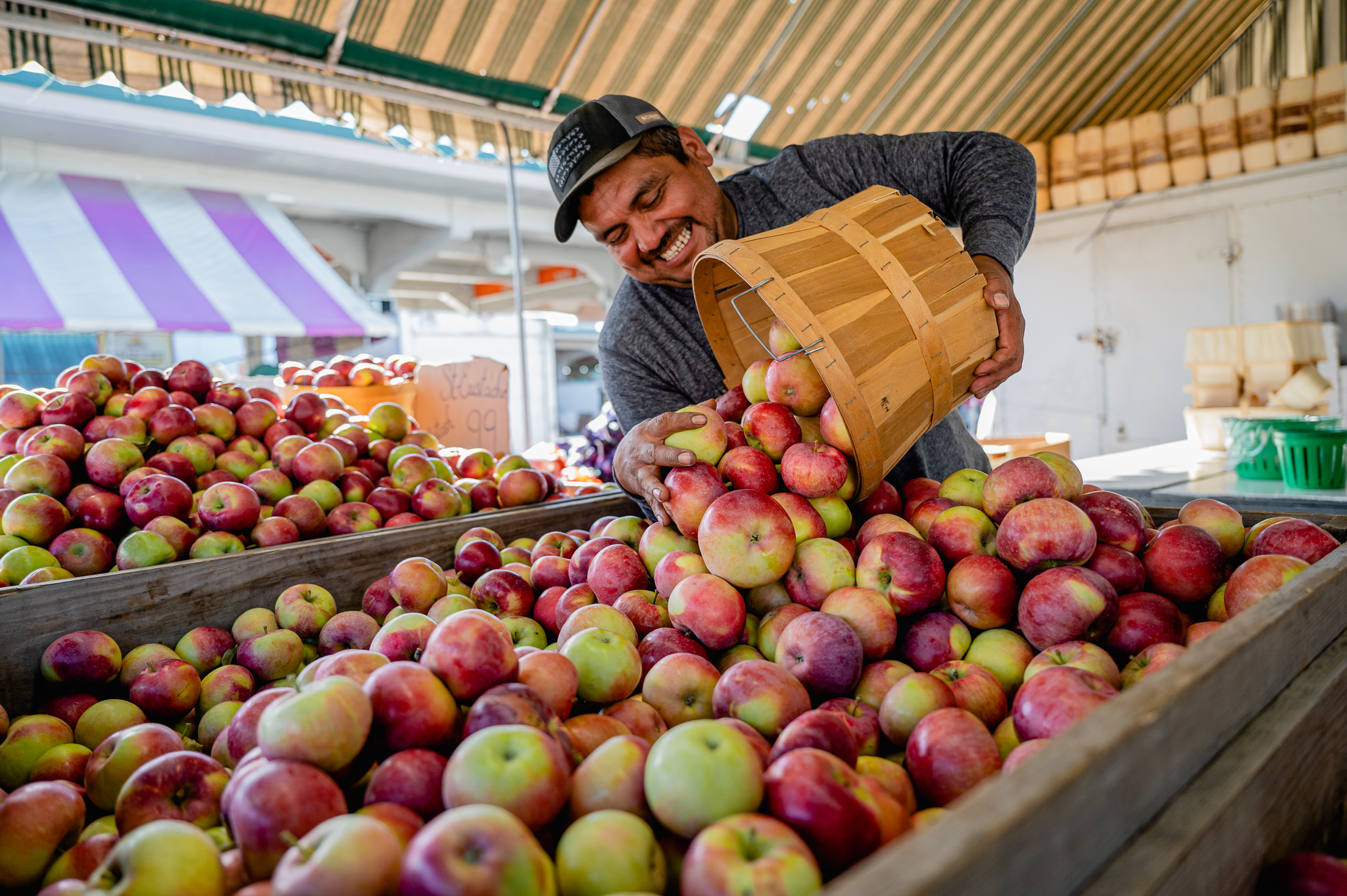 pommes au marché jean-talon