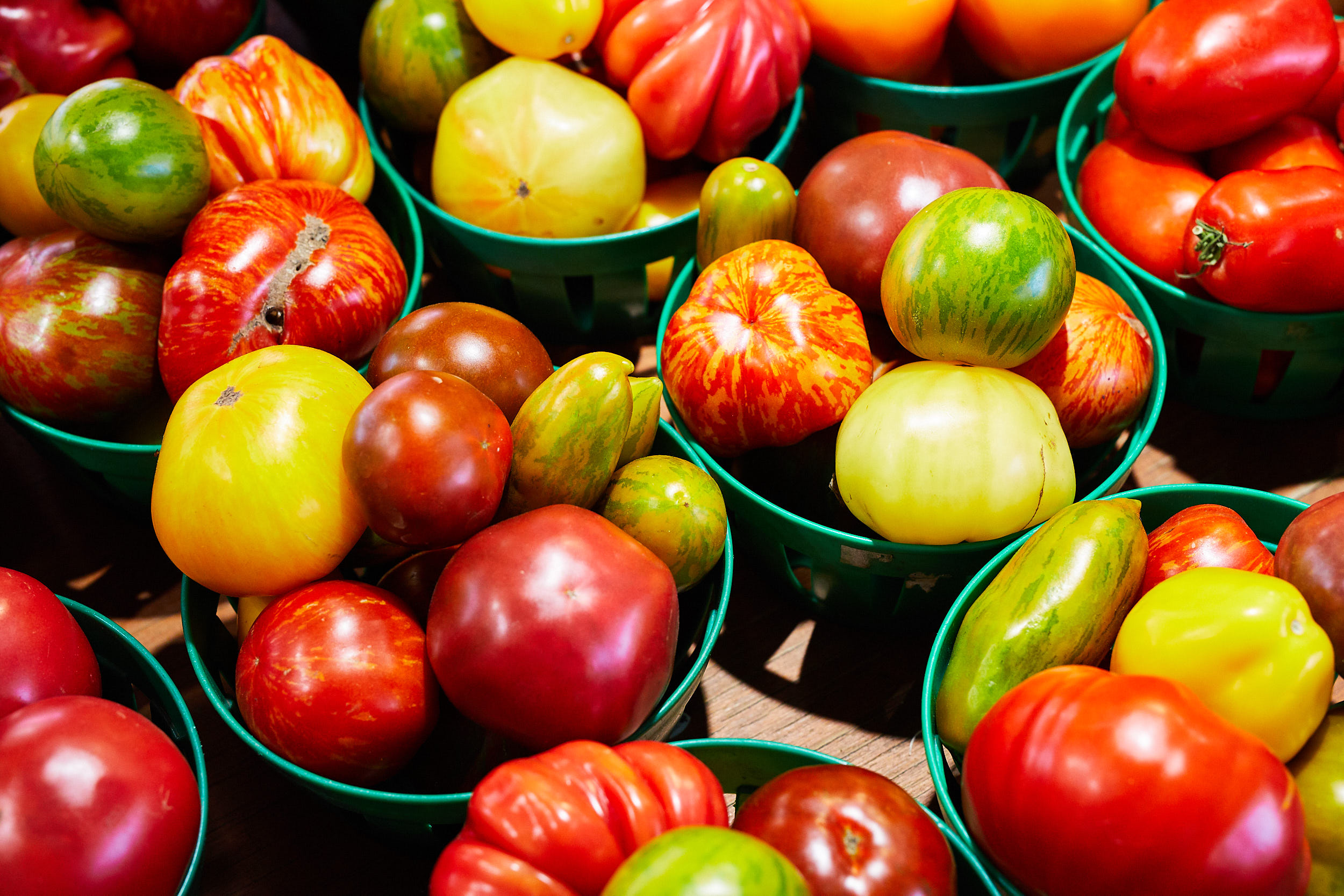 tomates ancestrales