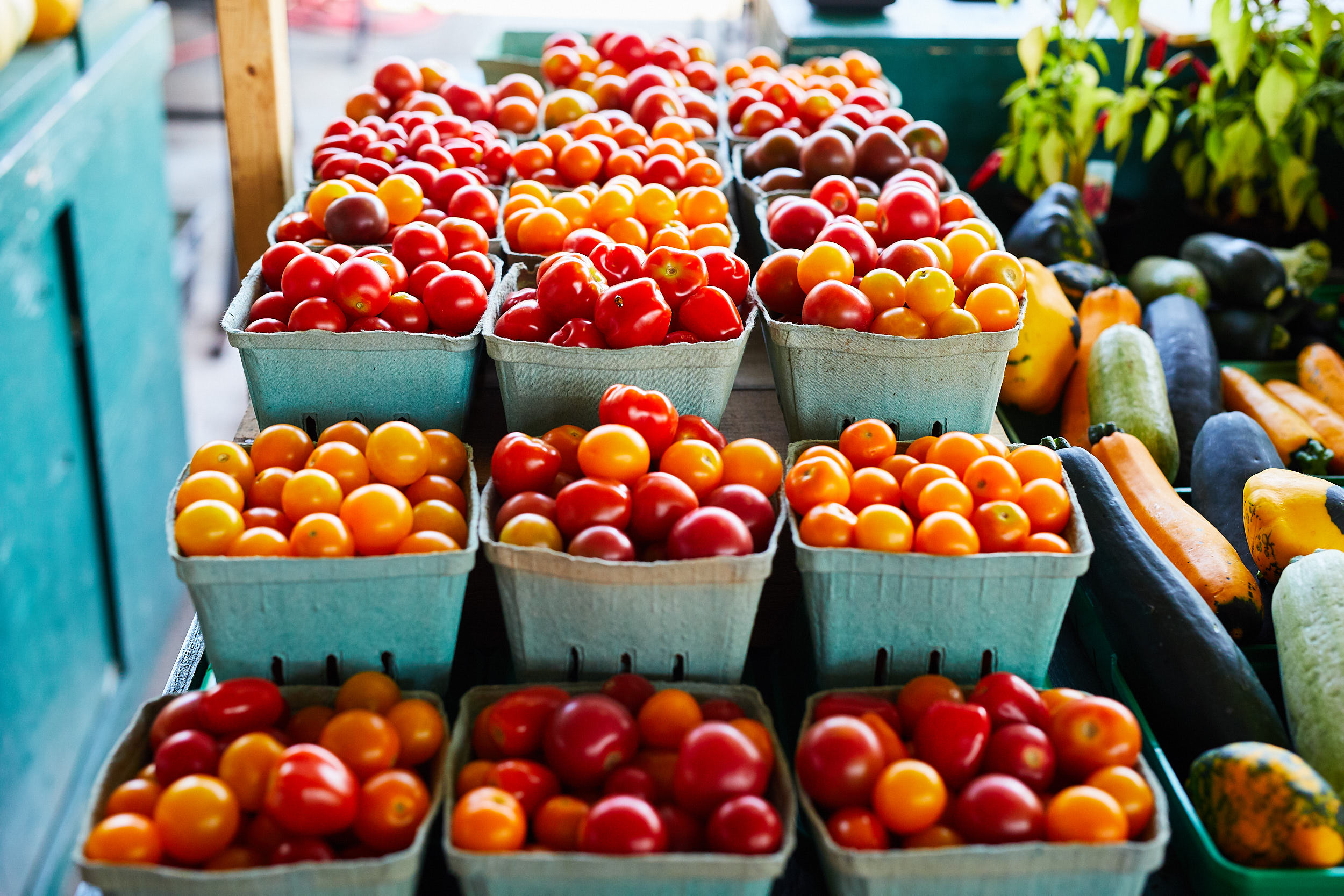 tomates cerises