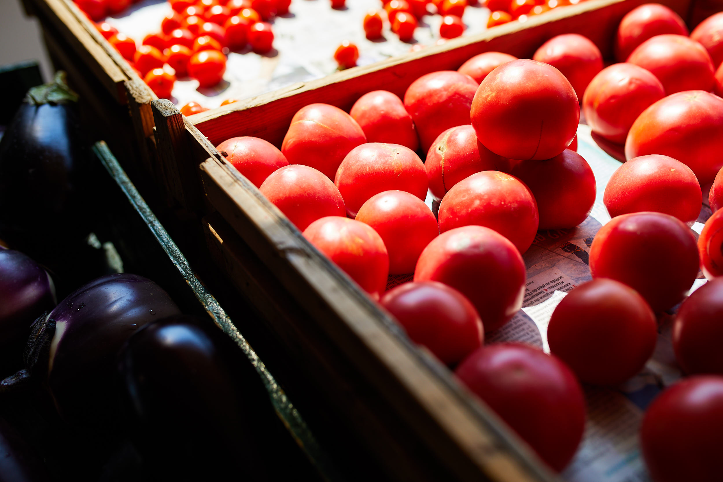 tomate des champs
