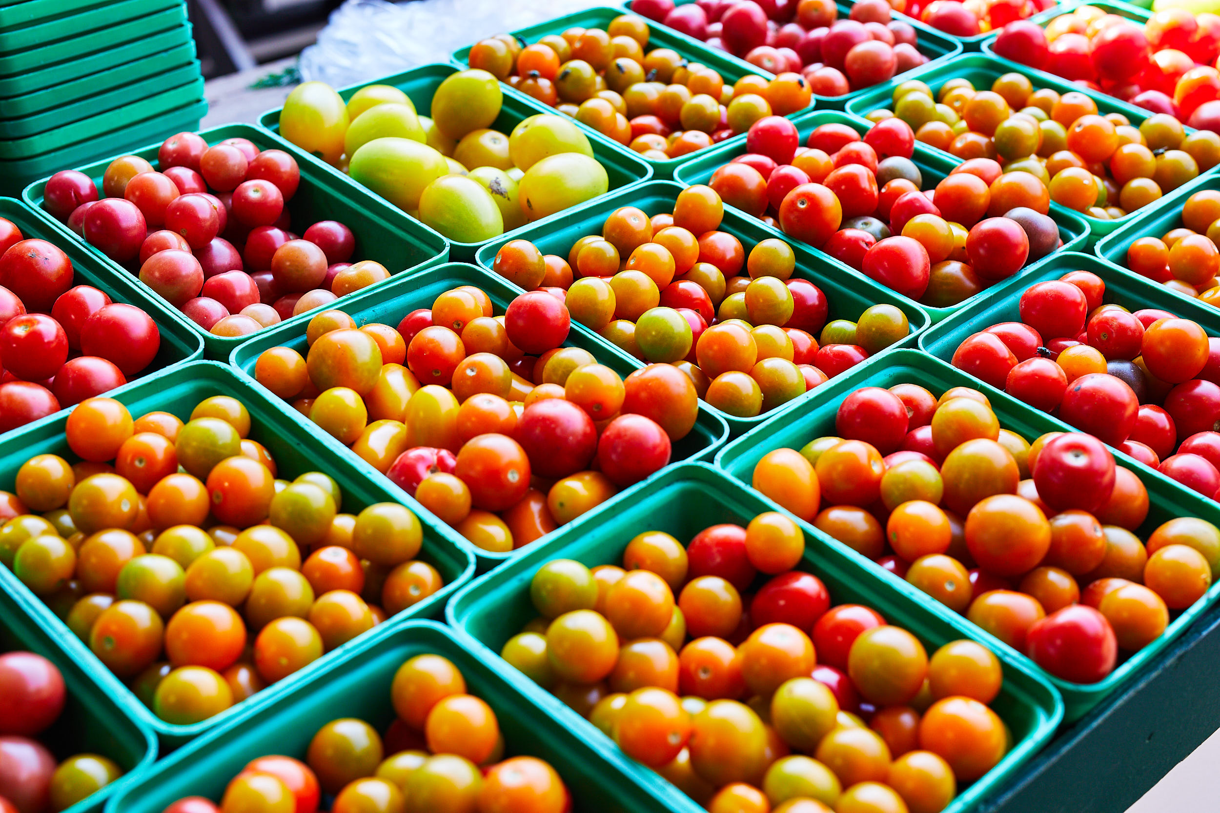 tomates cerises au marché