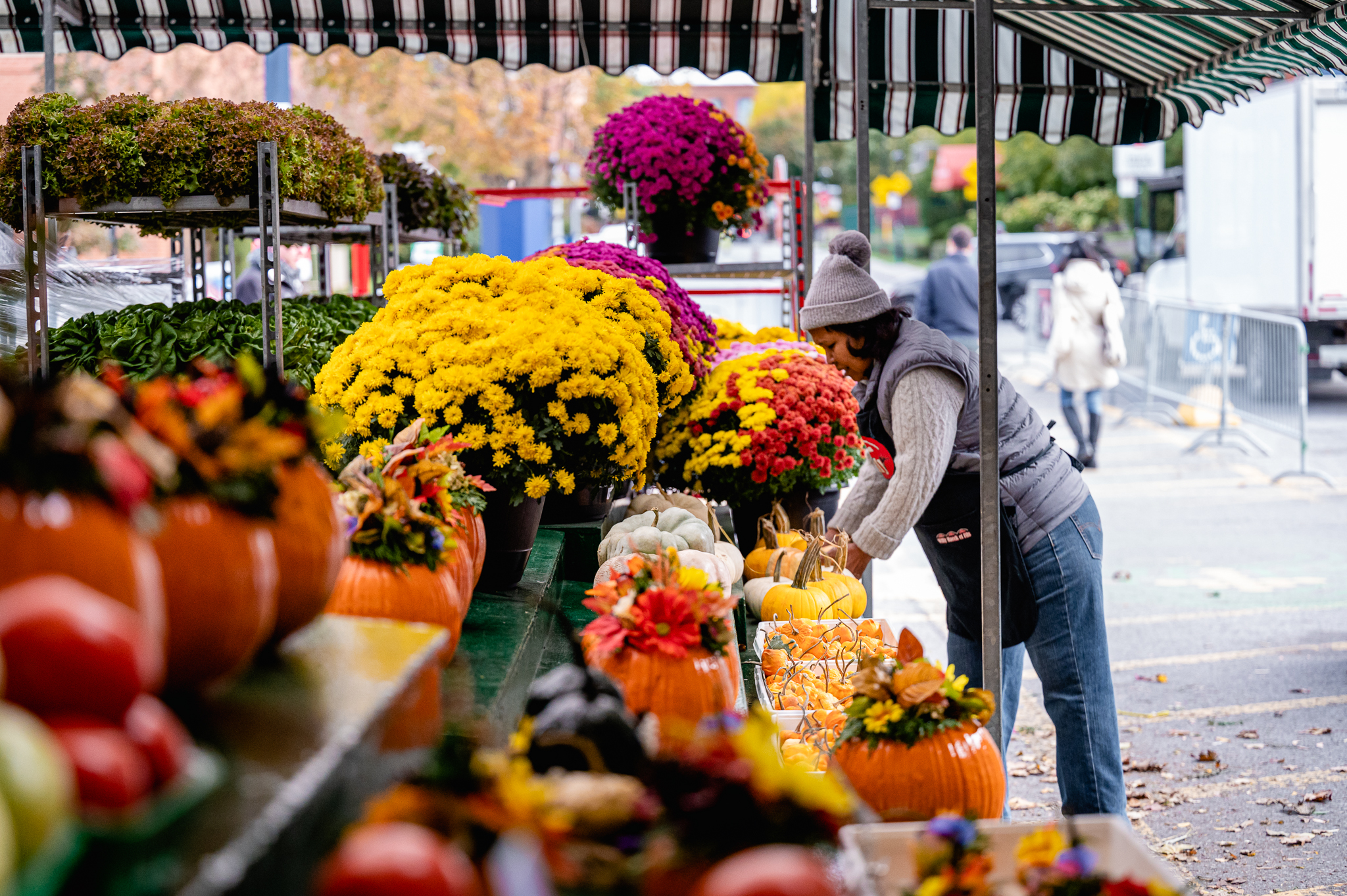 Chrysanthèmes disponibles au Marché Atwater