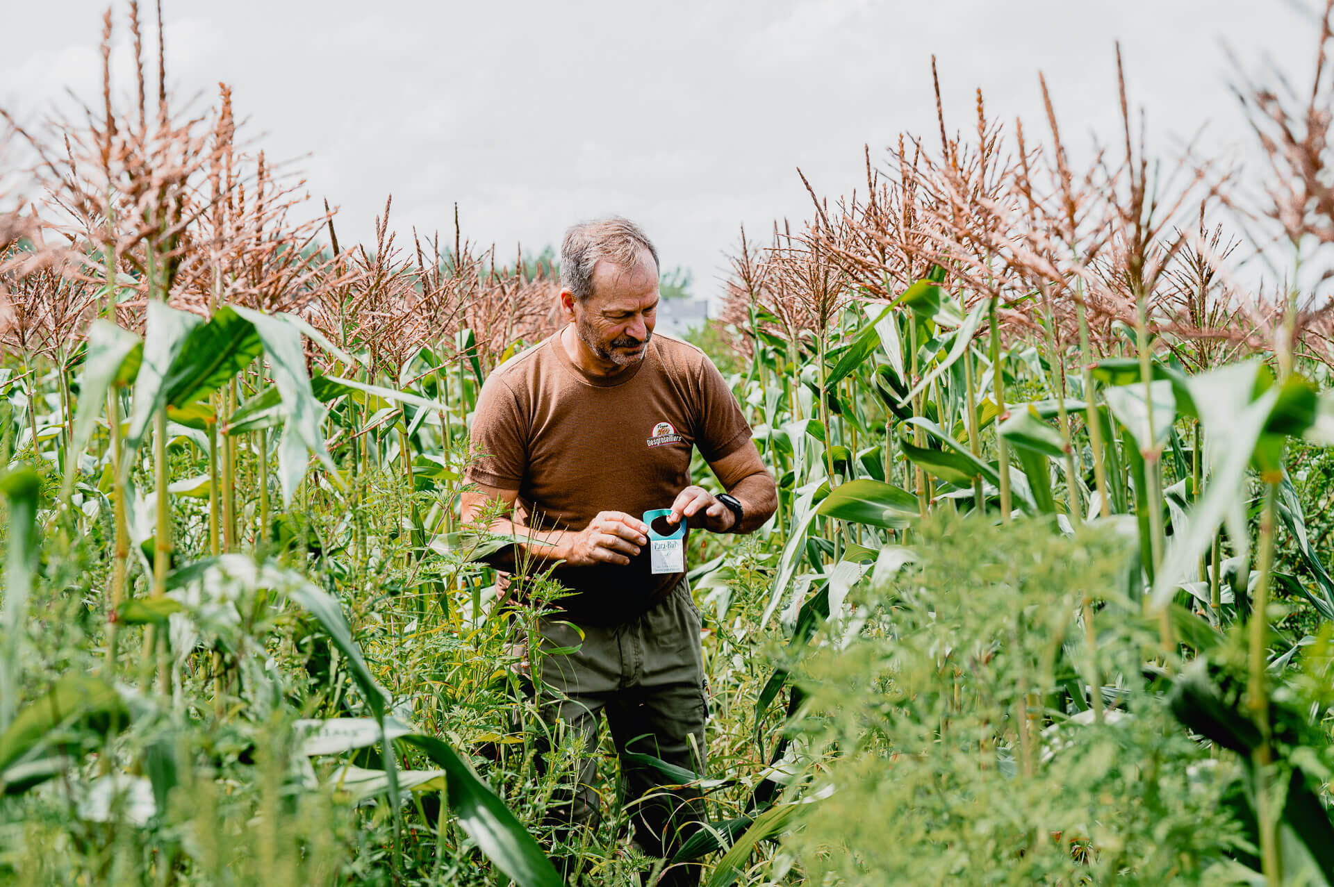 Guy in his field
