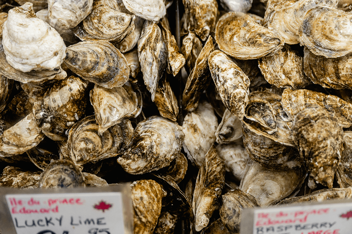 Huîtres Lucky Lime de l'ïle du Prince Édouard