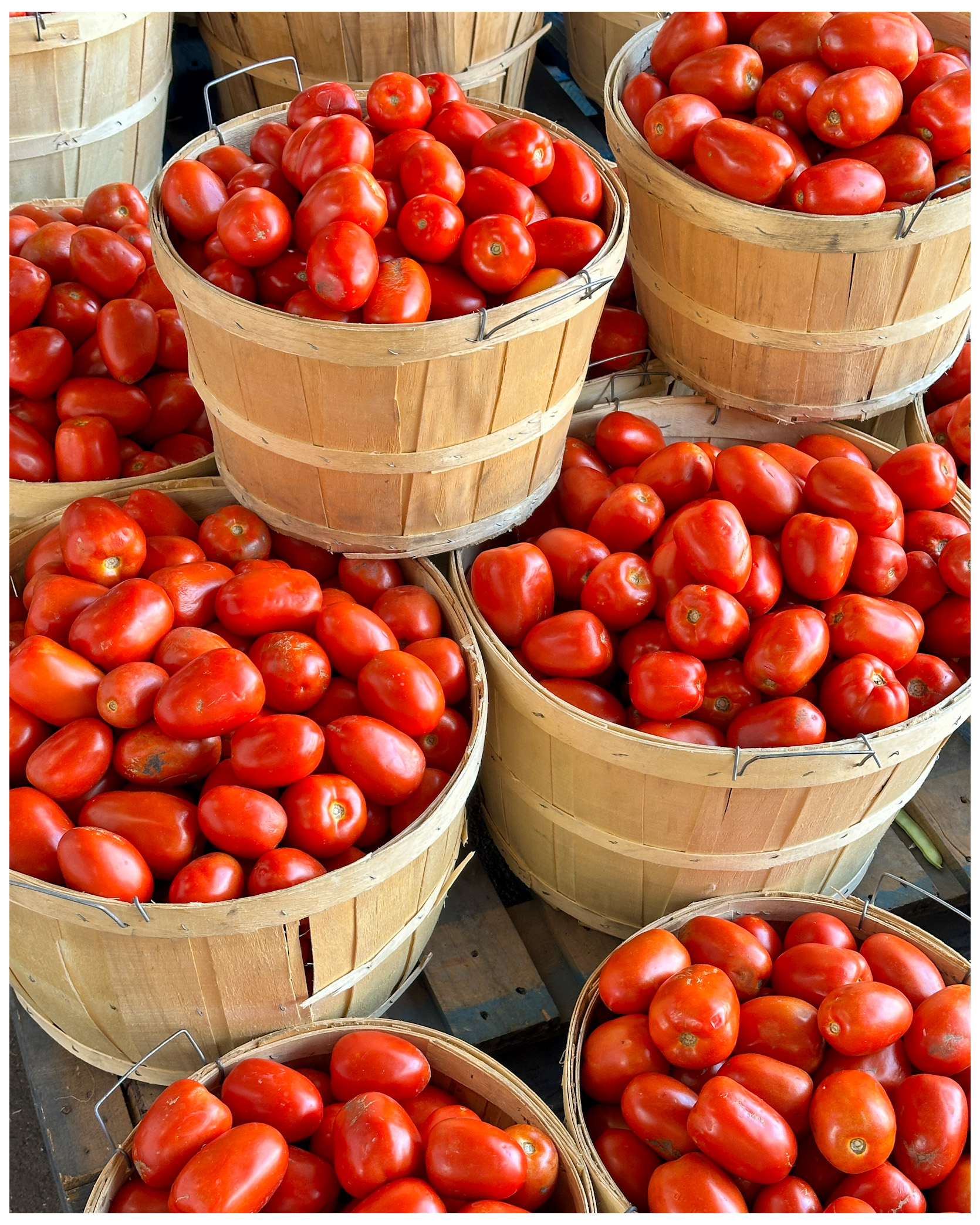 tomate roma