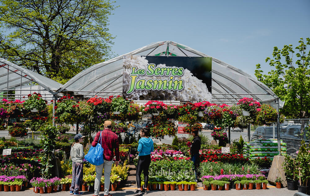 Marché Atwater Fleurs