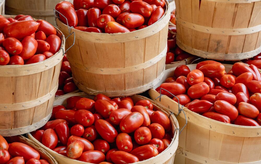 tomate marché jean-talon