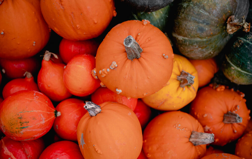 Citrouille au marché