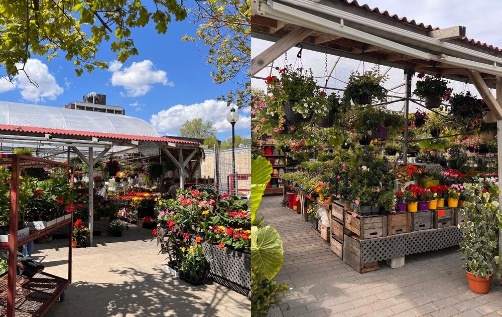 Marché Papineau