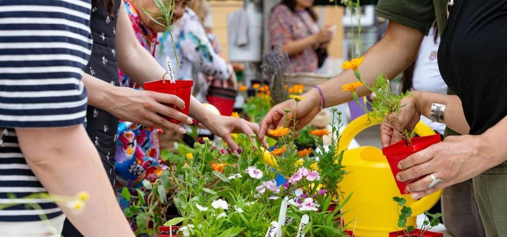 Fleurs comestibles