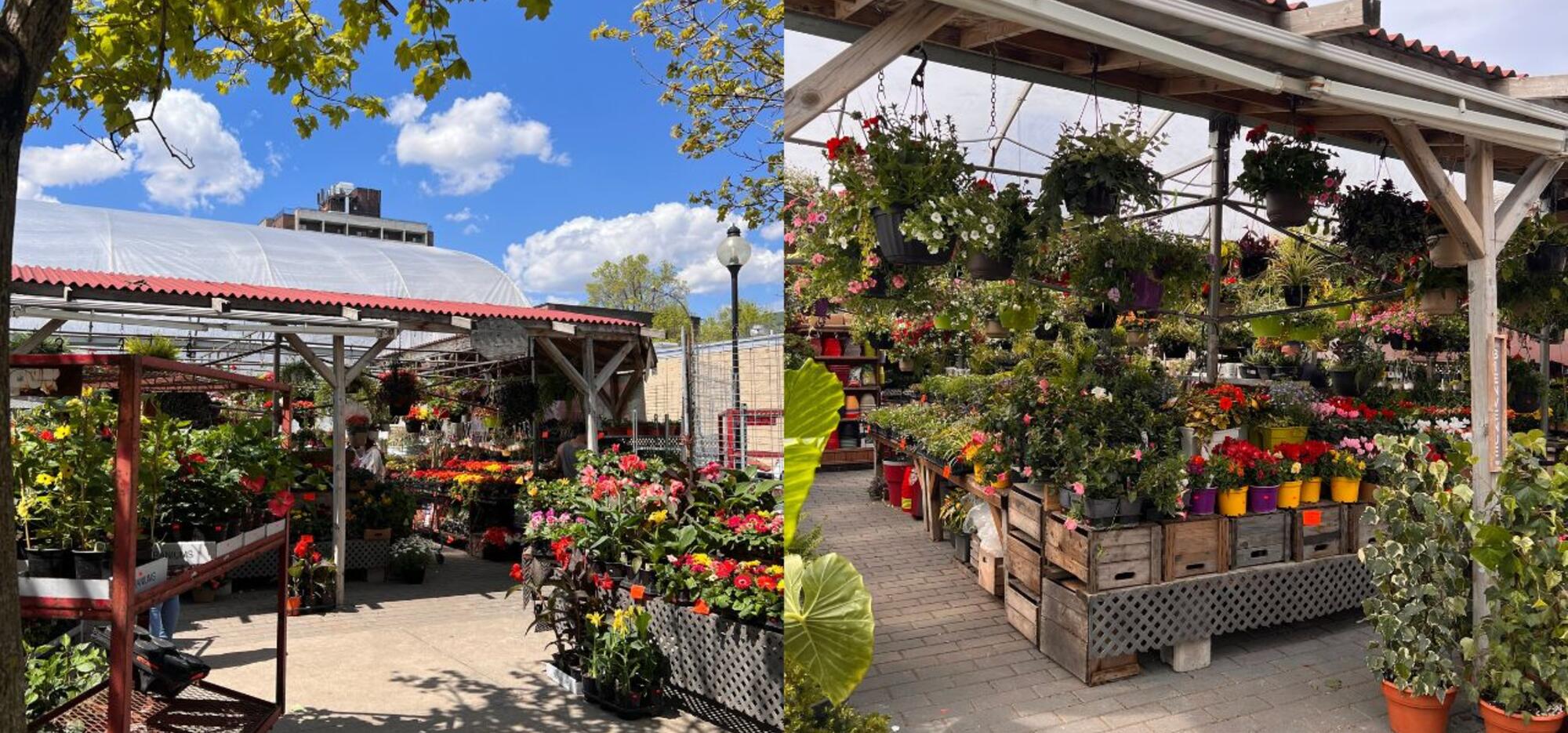 Marché Papineau