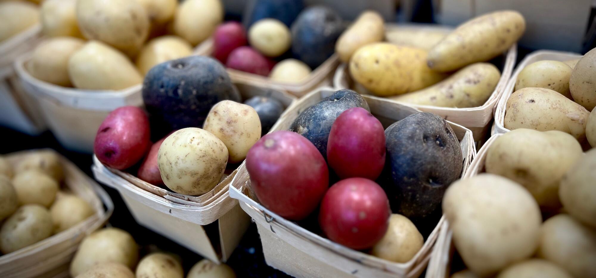 Patate dans les Marchés publics de Montréal