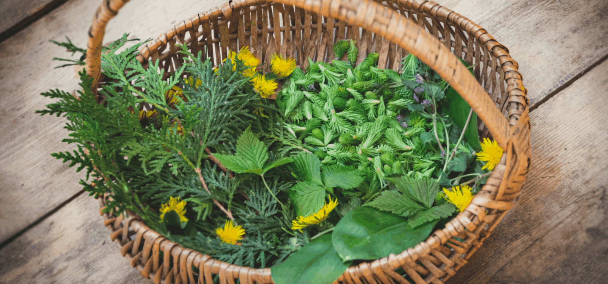 panier de cueillette sauvage