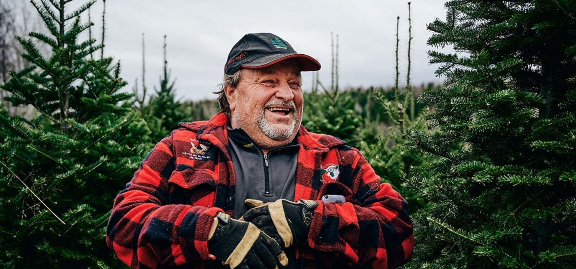 Christian Marois among his fir trees