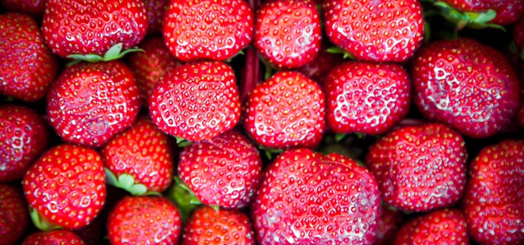 Fraises Marchés publics de Montréal