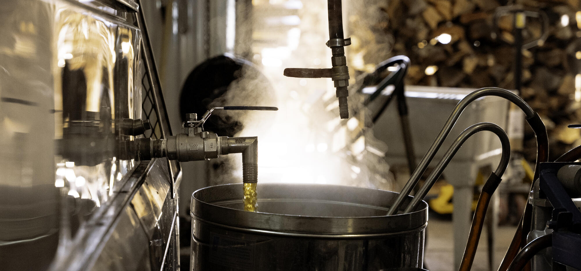 Les dessous d'une érablière