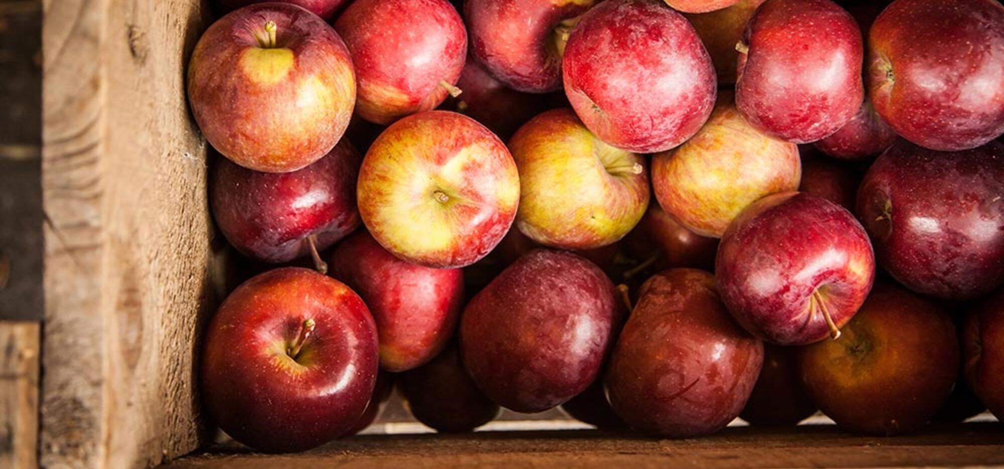 Cuisiner les pommes sans en gaspiller!