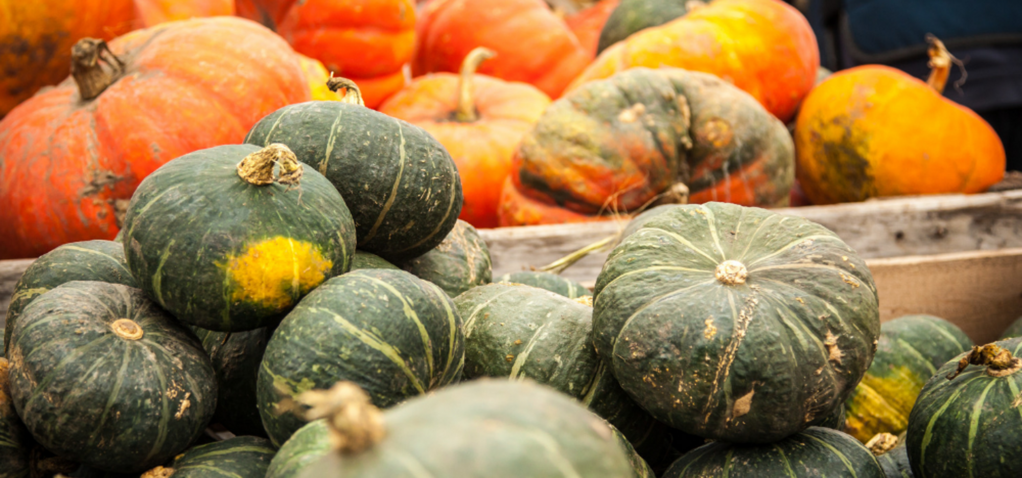 Sauver les courges et citrouilles après l'Halloween