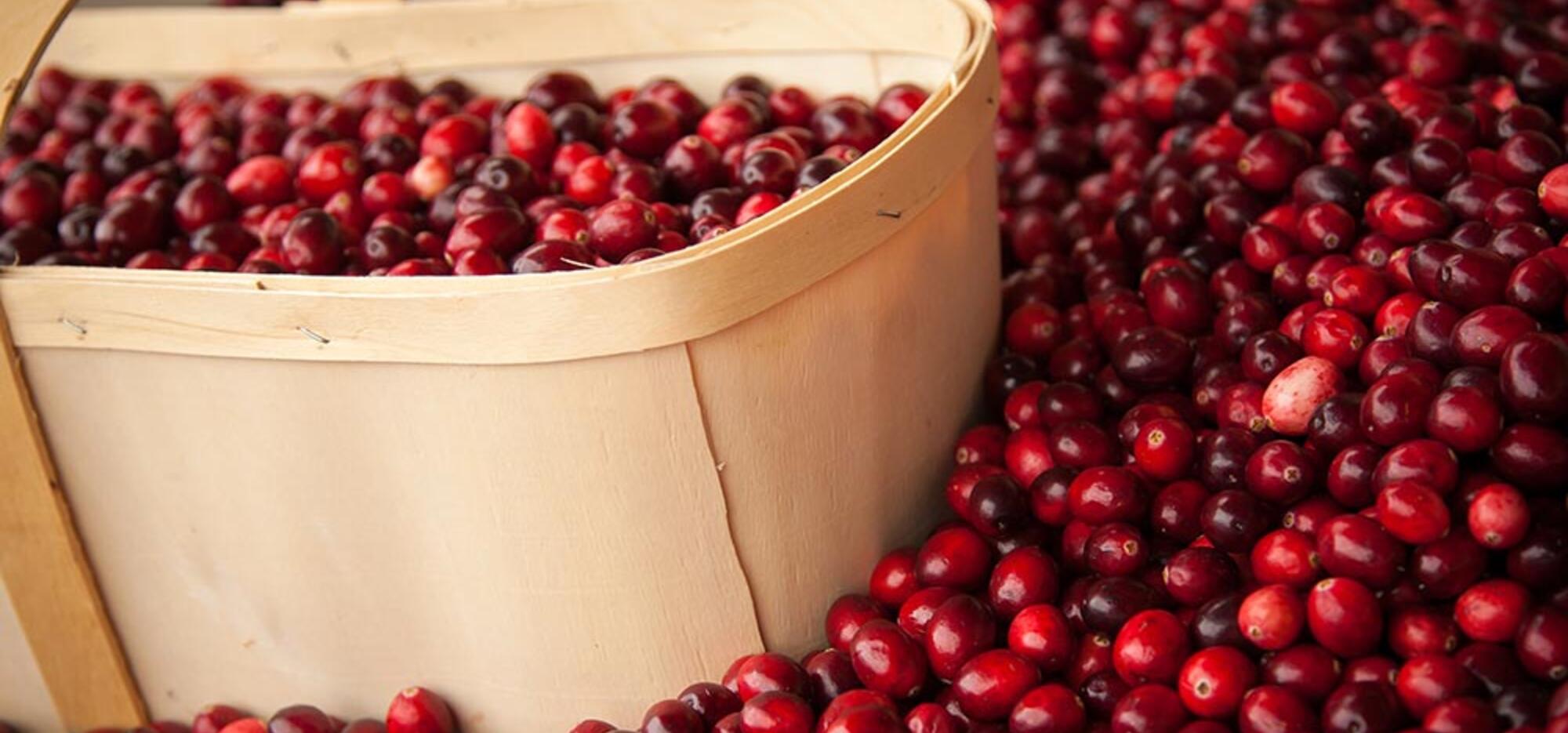 10 tips to celebrate Christmas… and reduce waste!