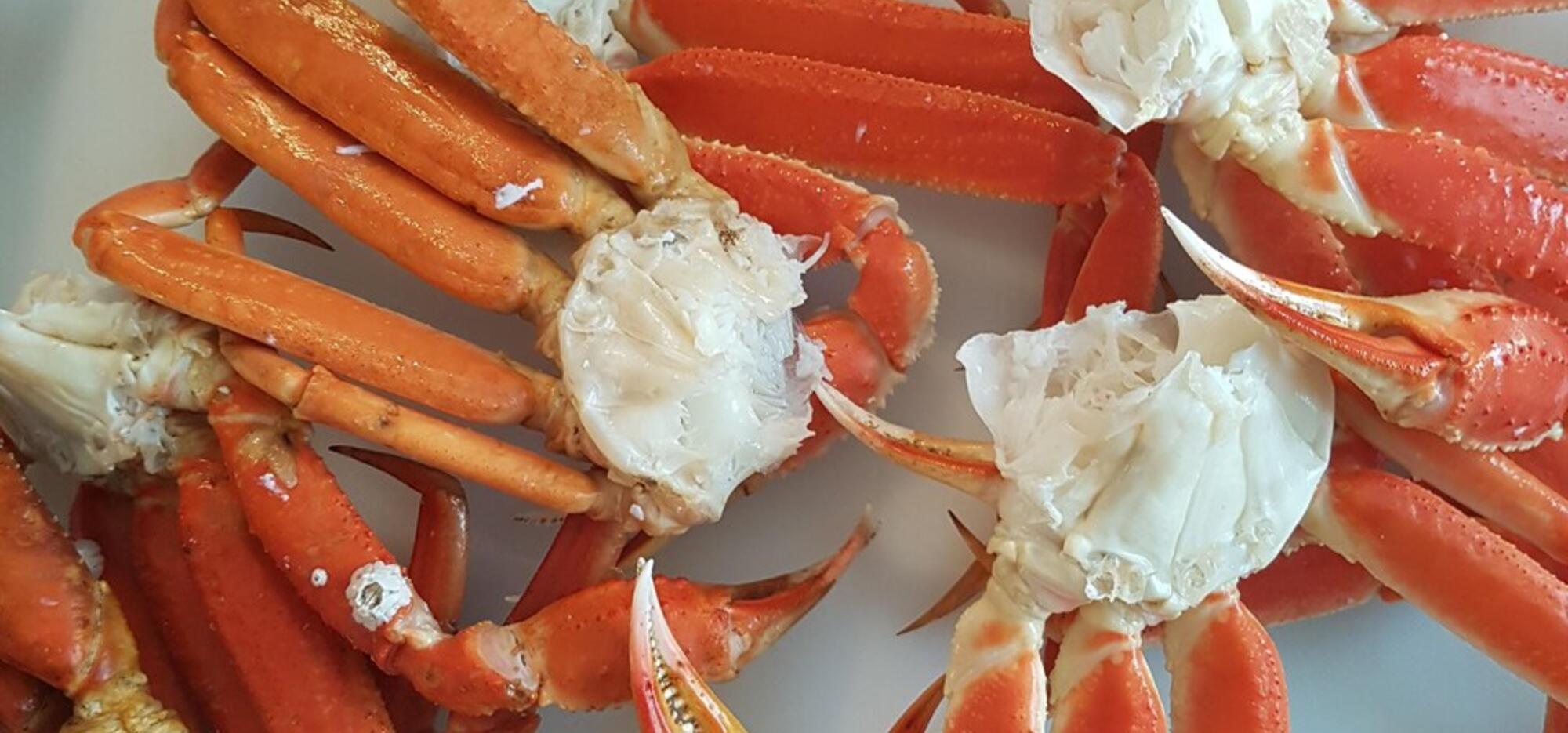 crabe des neiges