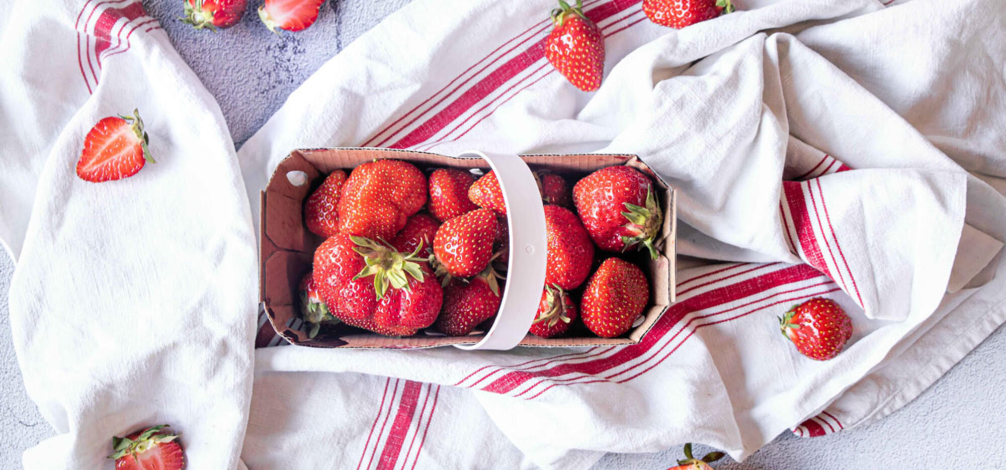 Les meilleurs trucs pour conserver ses aliments