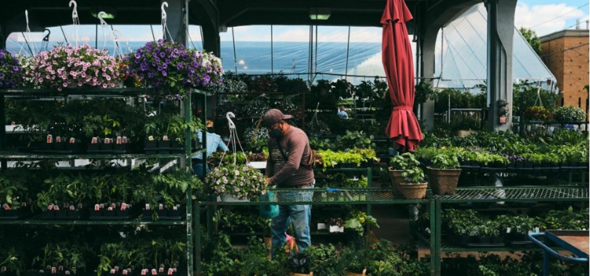 New merchants at the Montreal's public markets!
