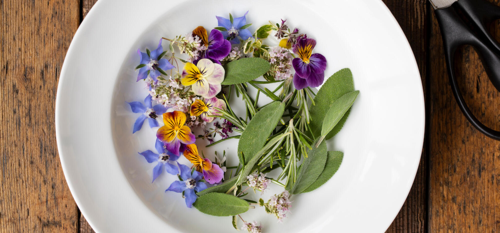 Fleurs comestibles : les découvrir et les déguster
