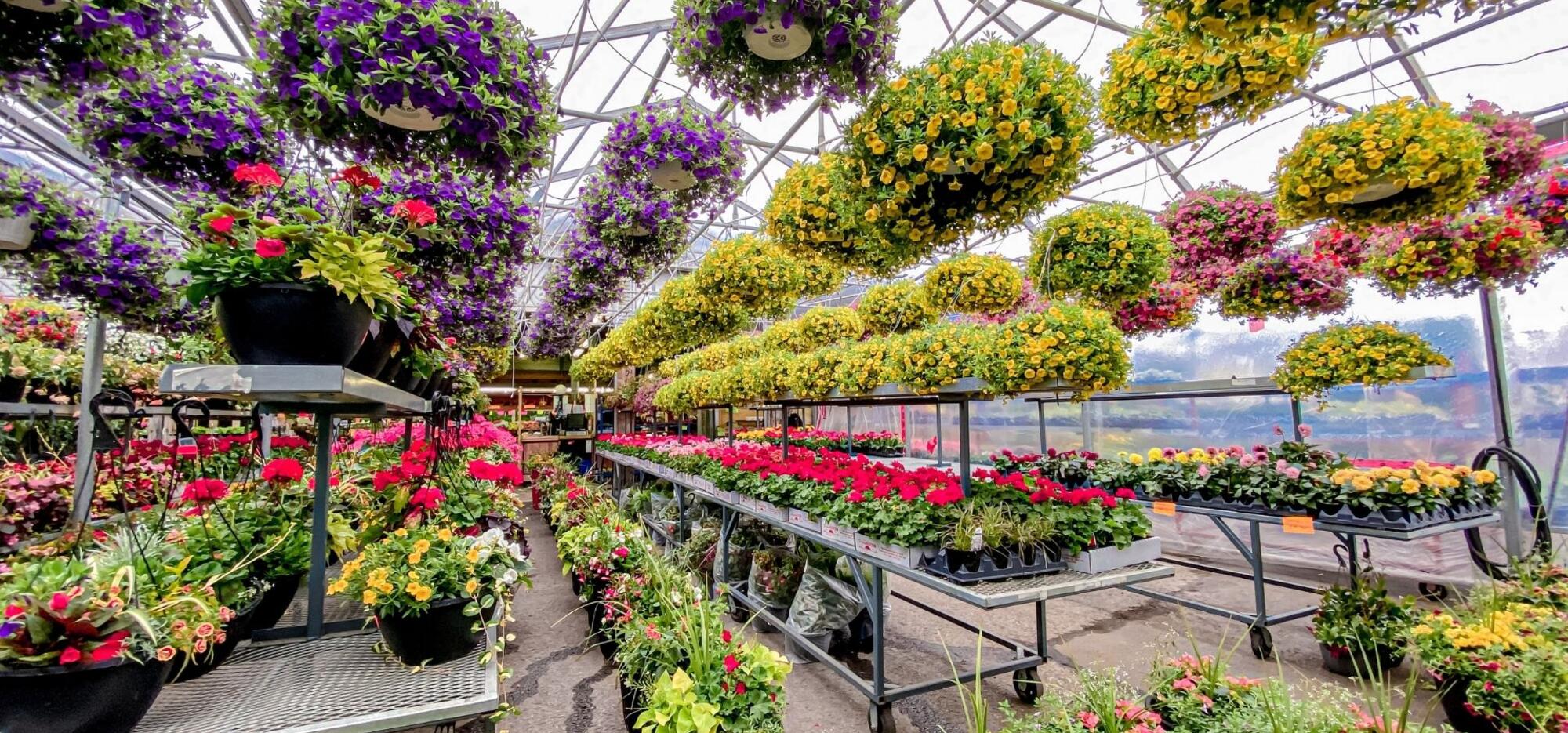 Nos marchés en mode été!