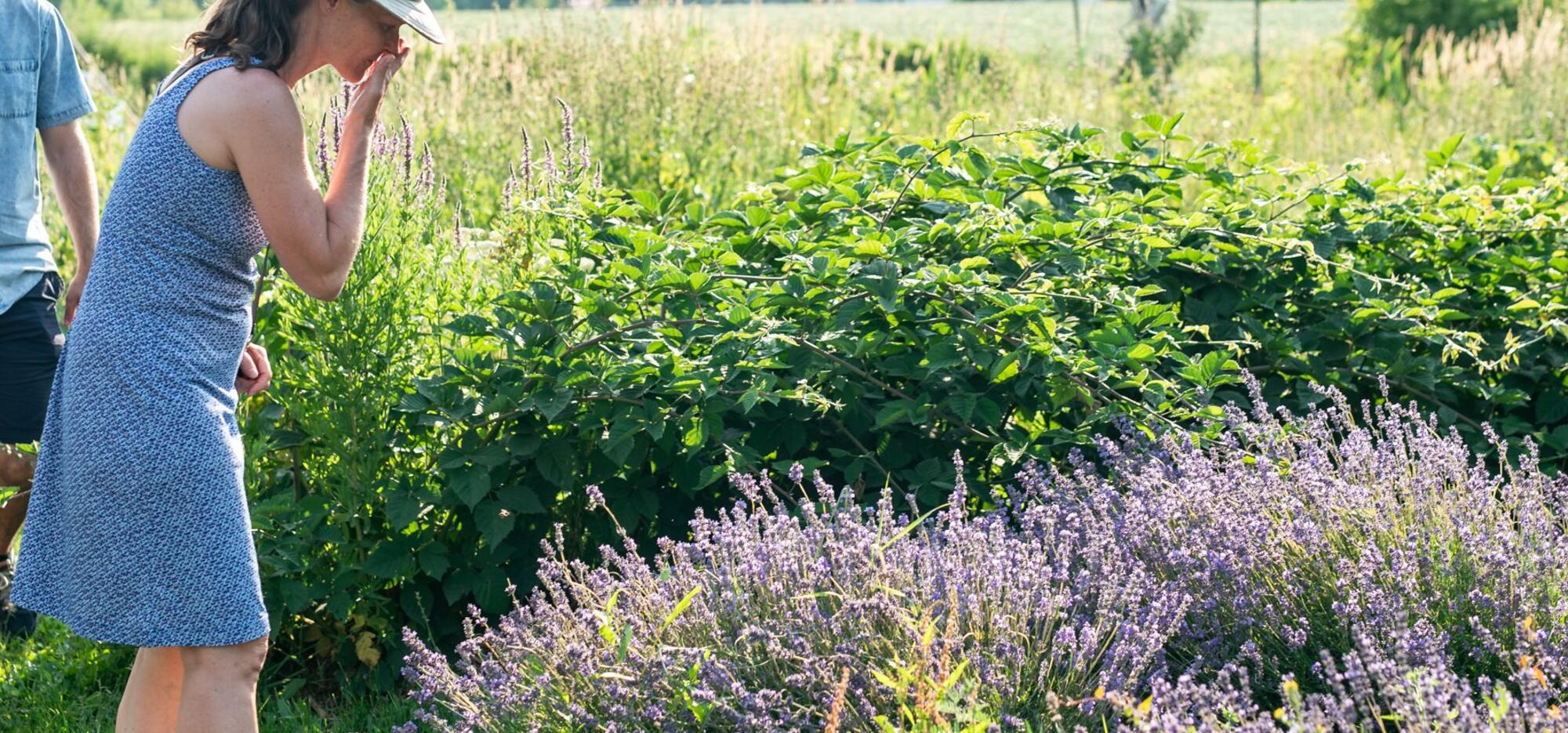 agrotourisme près de Montréal