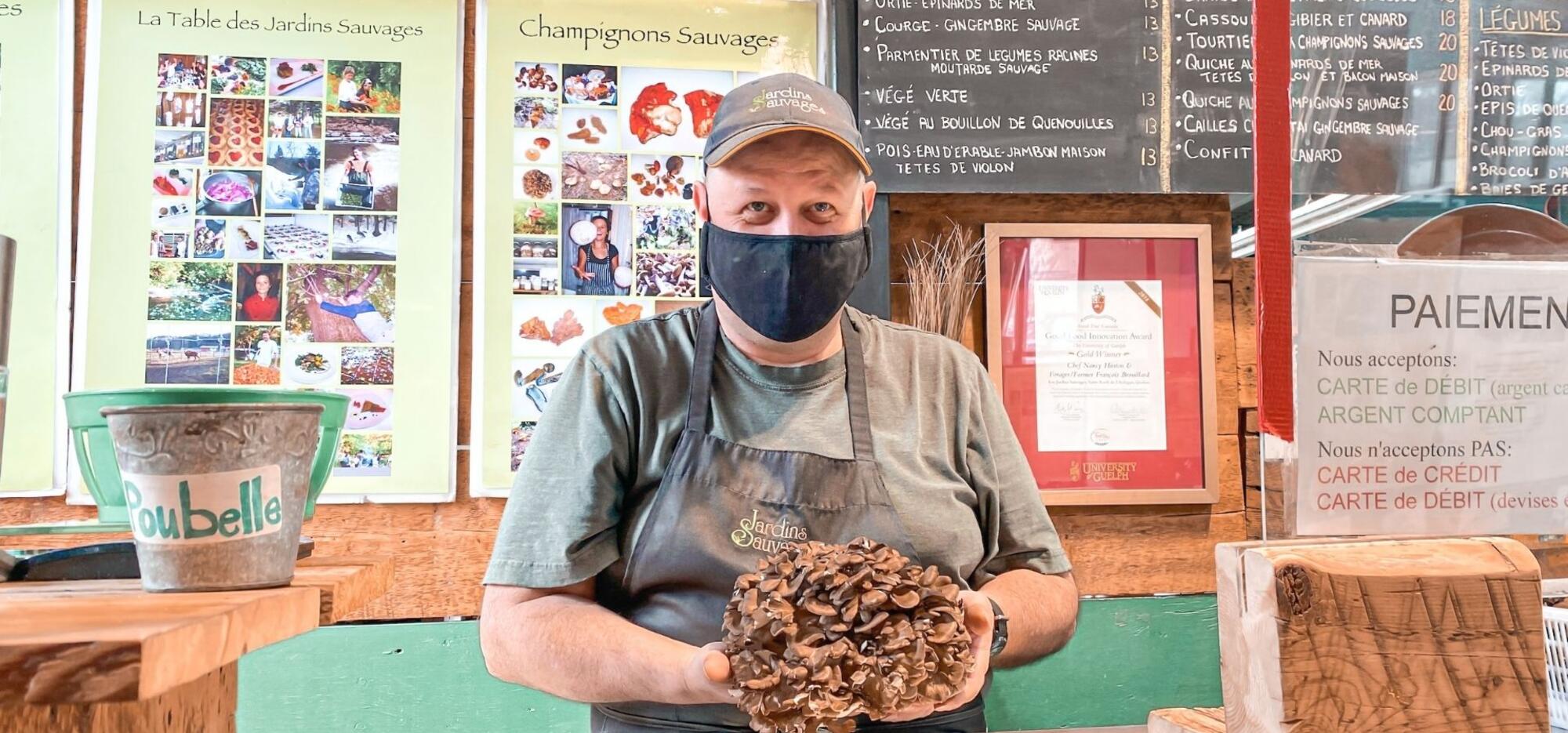 Discovering bewitching mushrooms