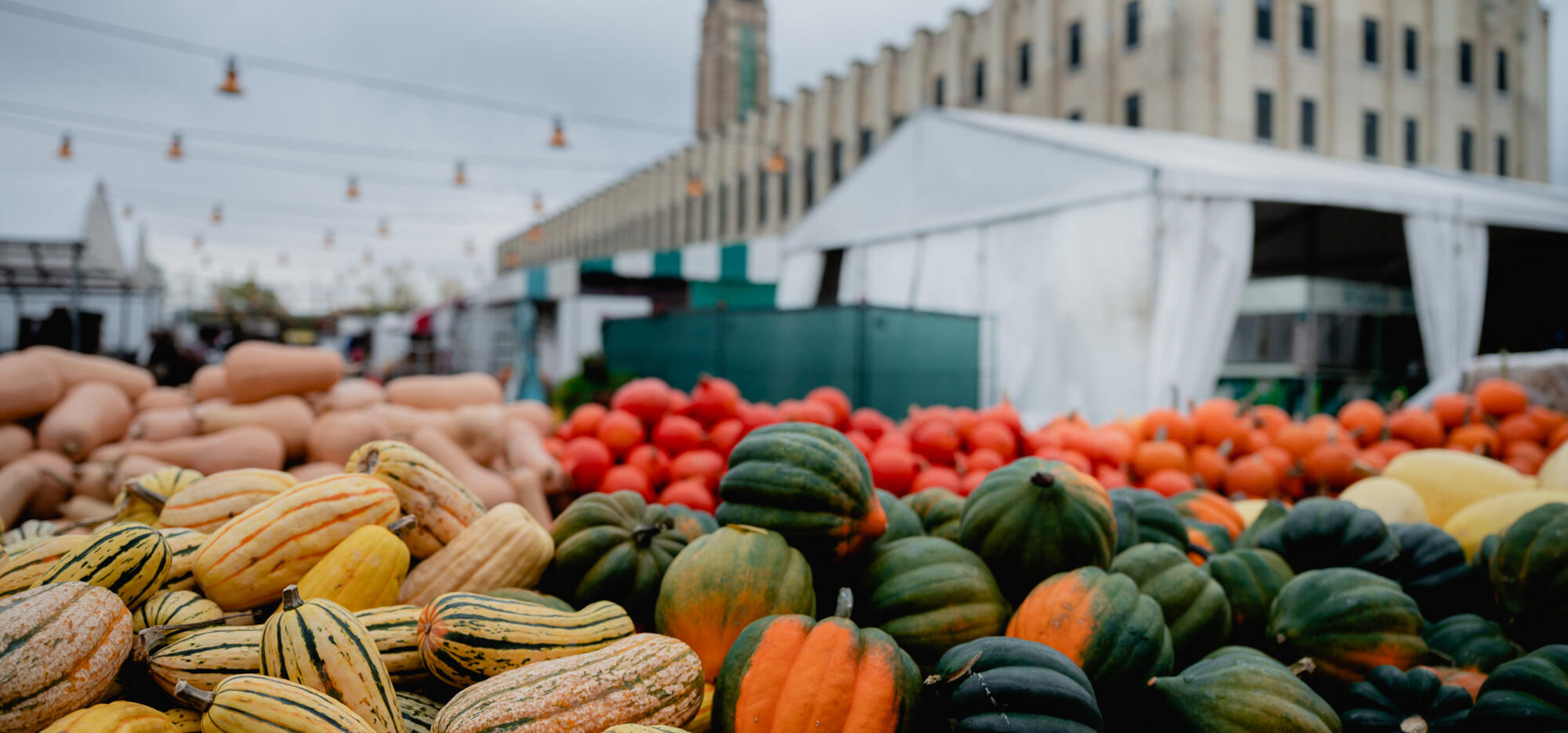 courge au marché