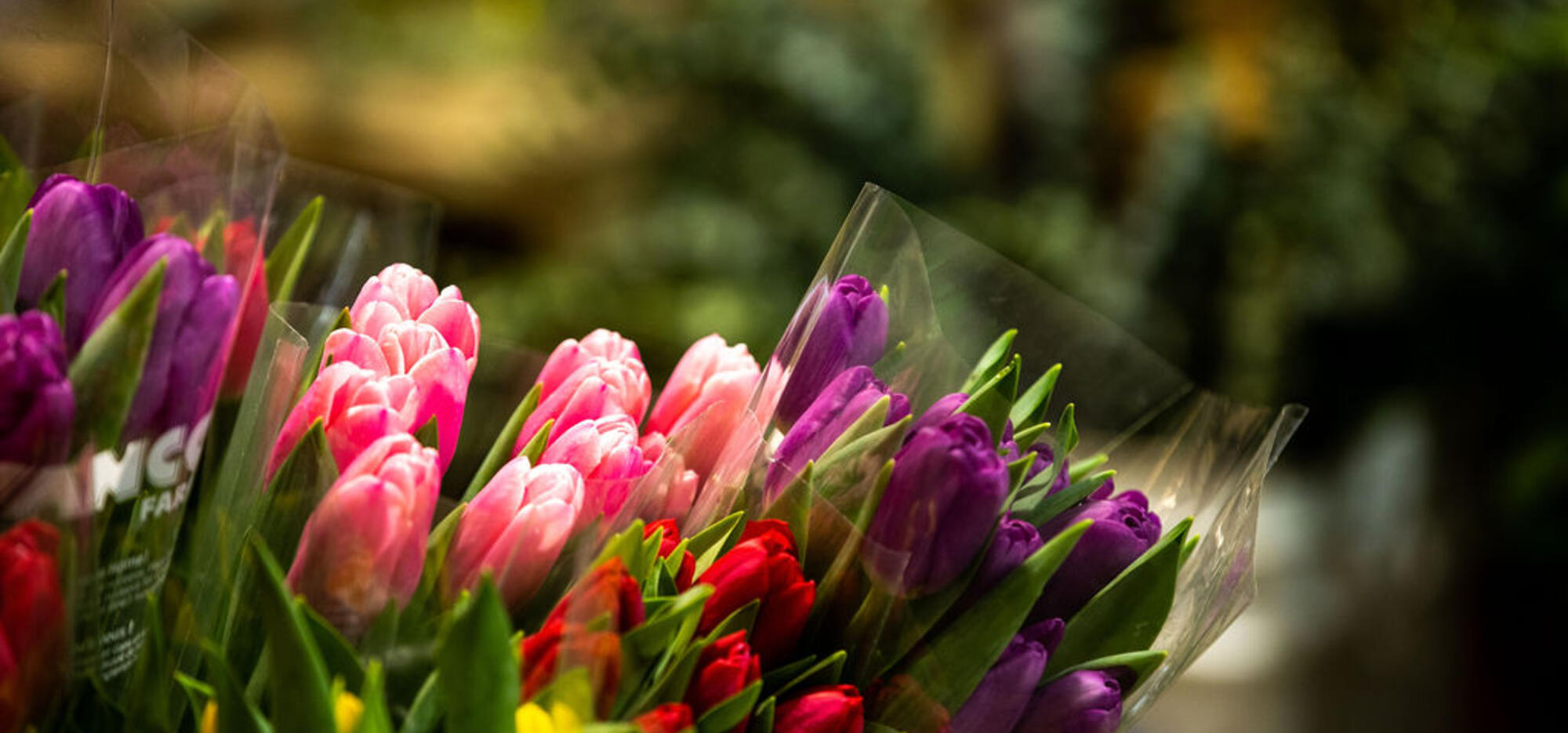 saint-valentin
