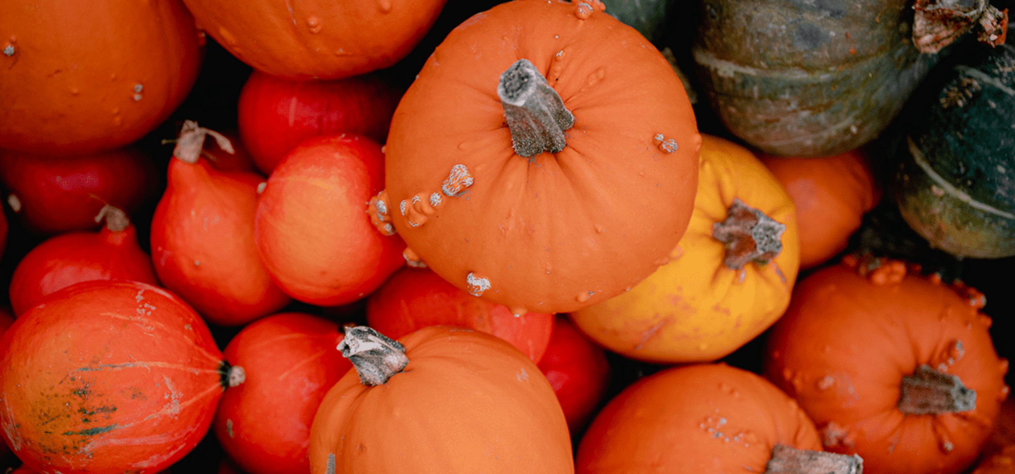 Courges et citrouilles en vrac