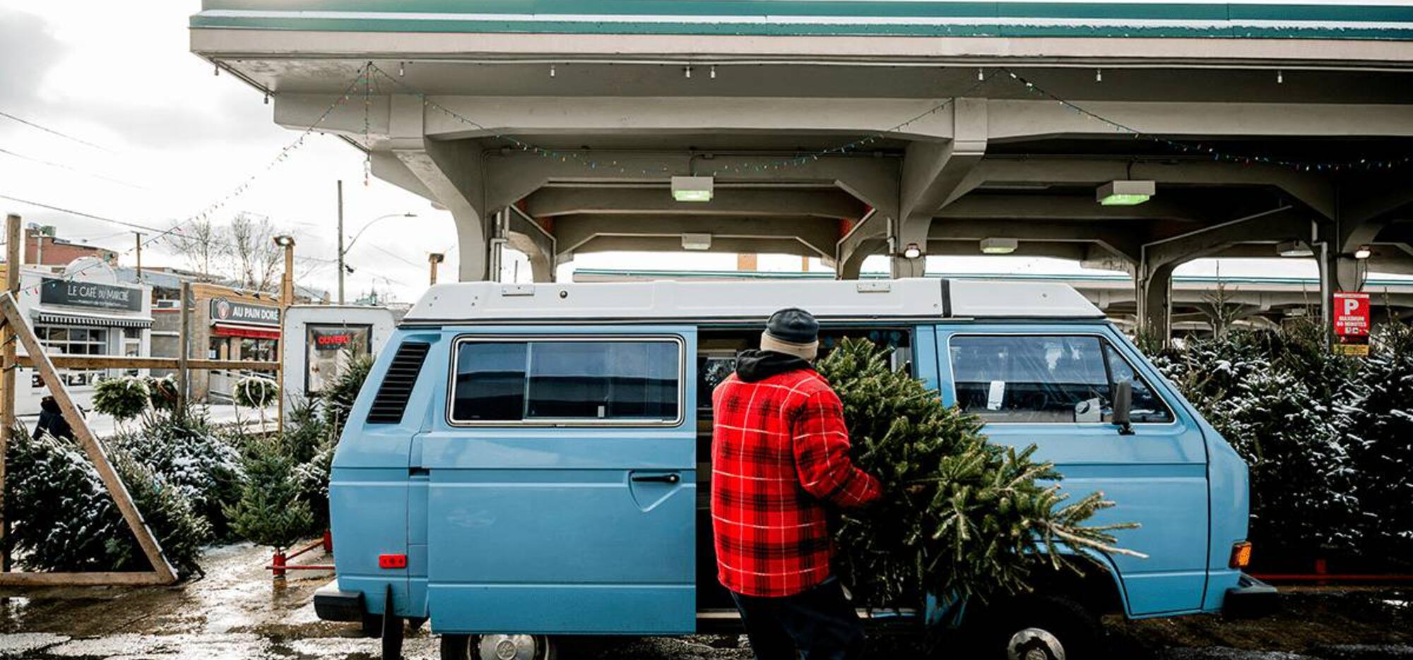 Sapiniers Marché Jean-Talon Bodoum photographie