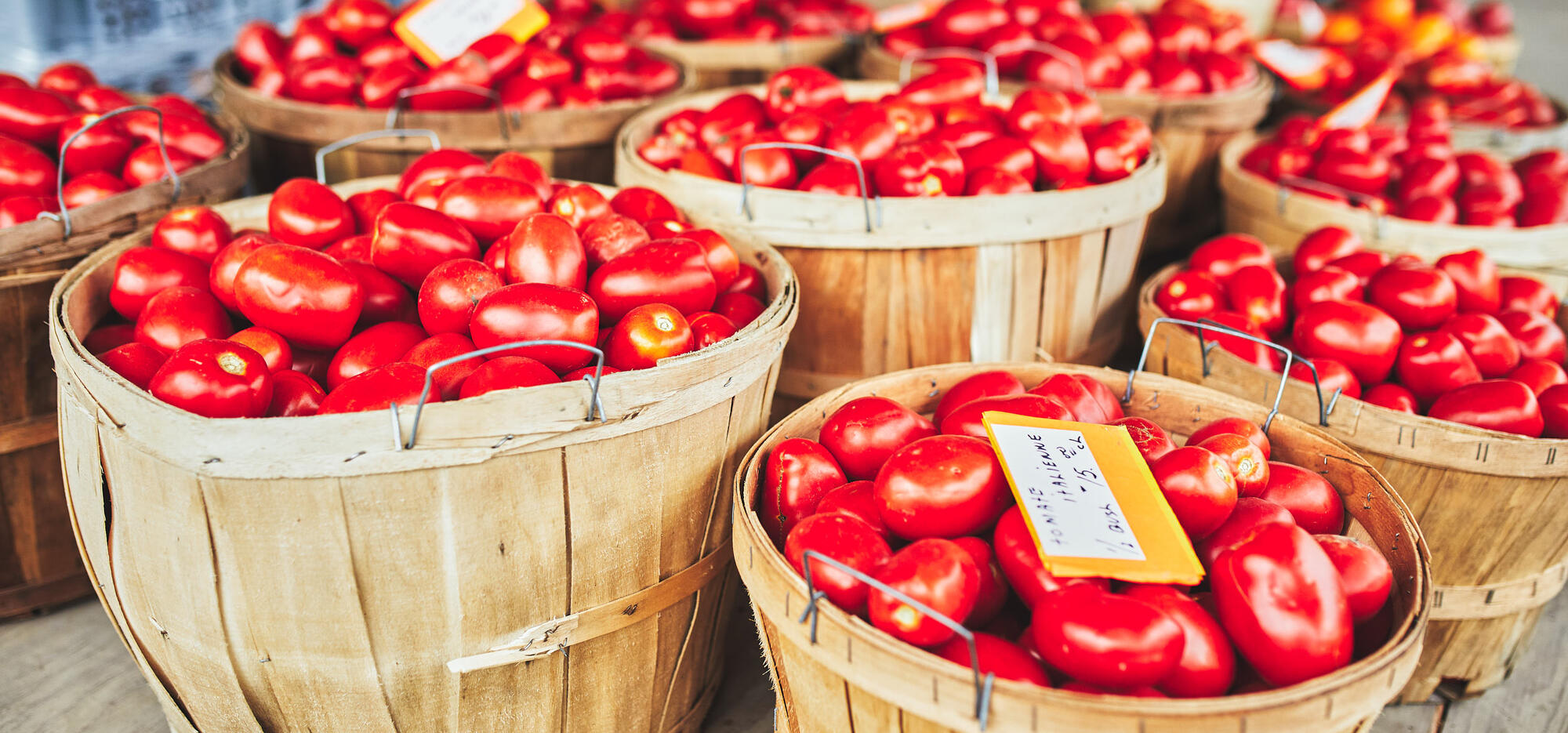panier de tomates au Marché Jean-Talon