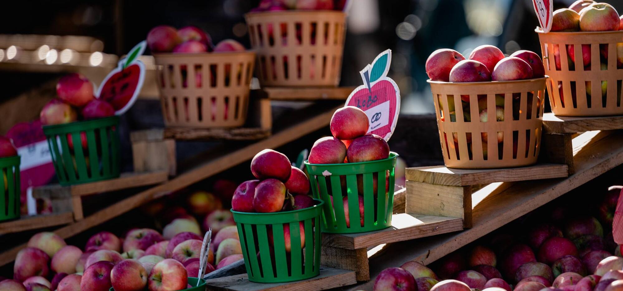 pommes au Marché Jean-Talon