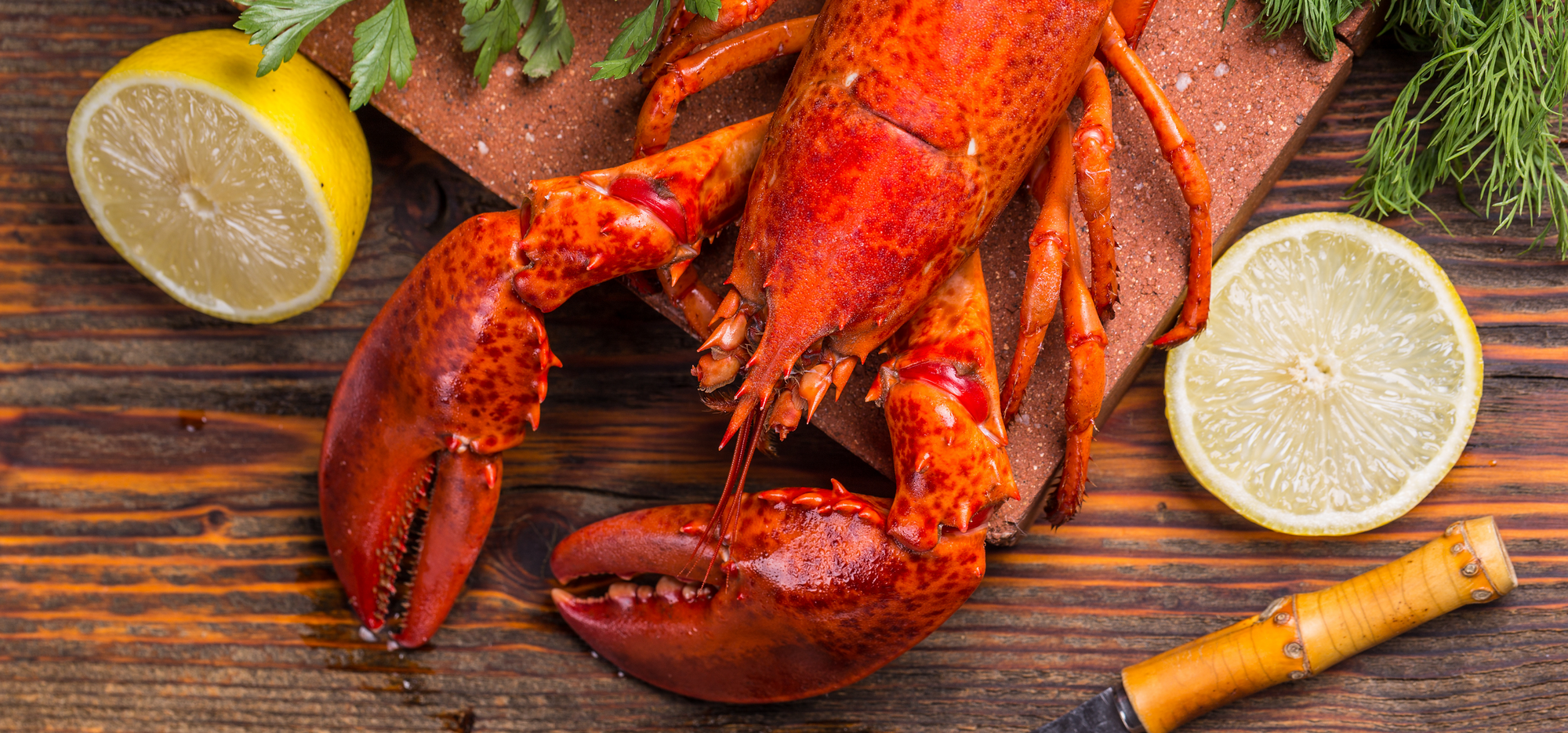 Homard poché au beurre