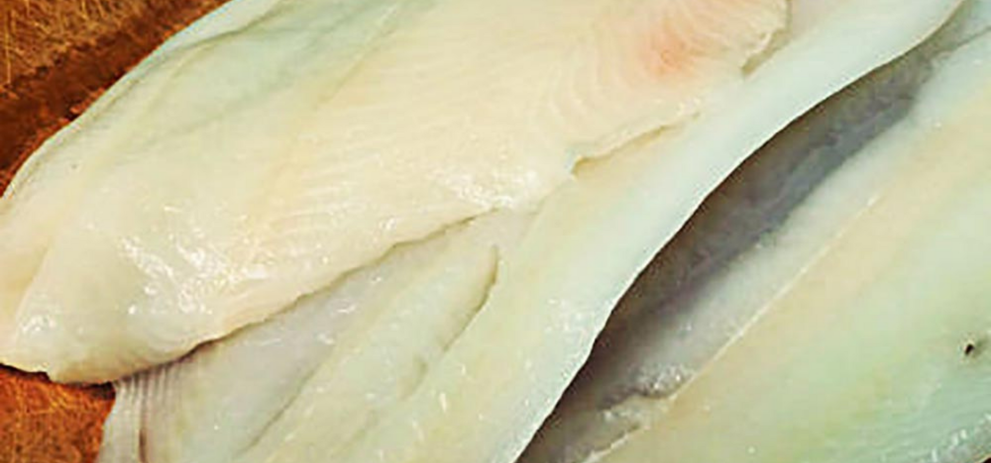Turbot « Fifty Shades of Crème »