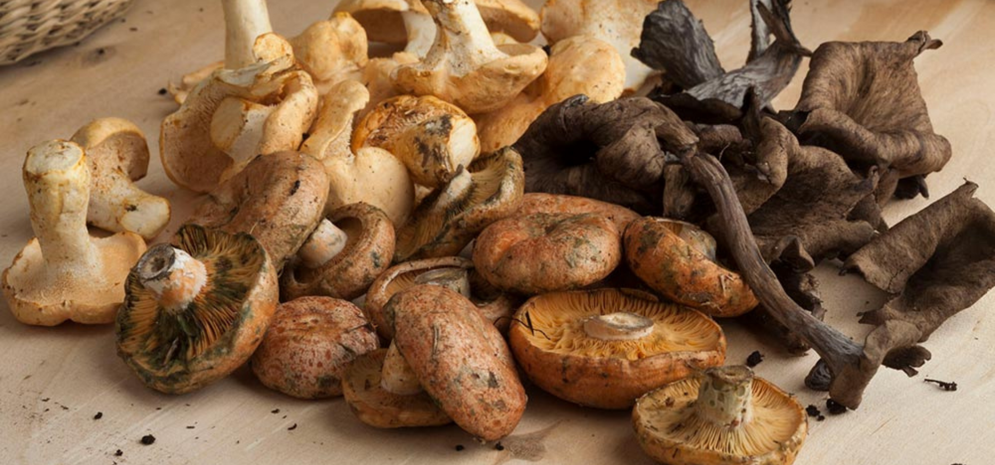 Wild Mushroom Stuffed Cornish Game Hens
