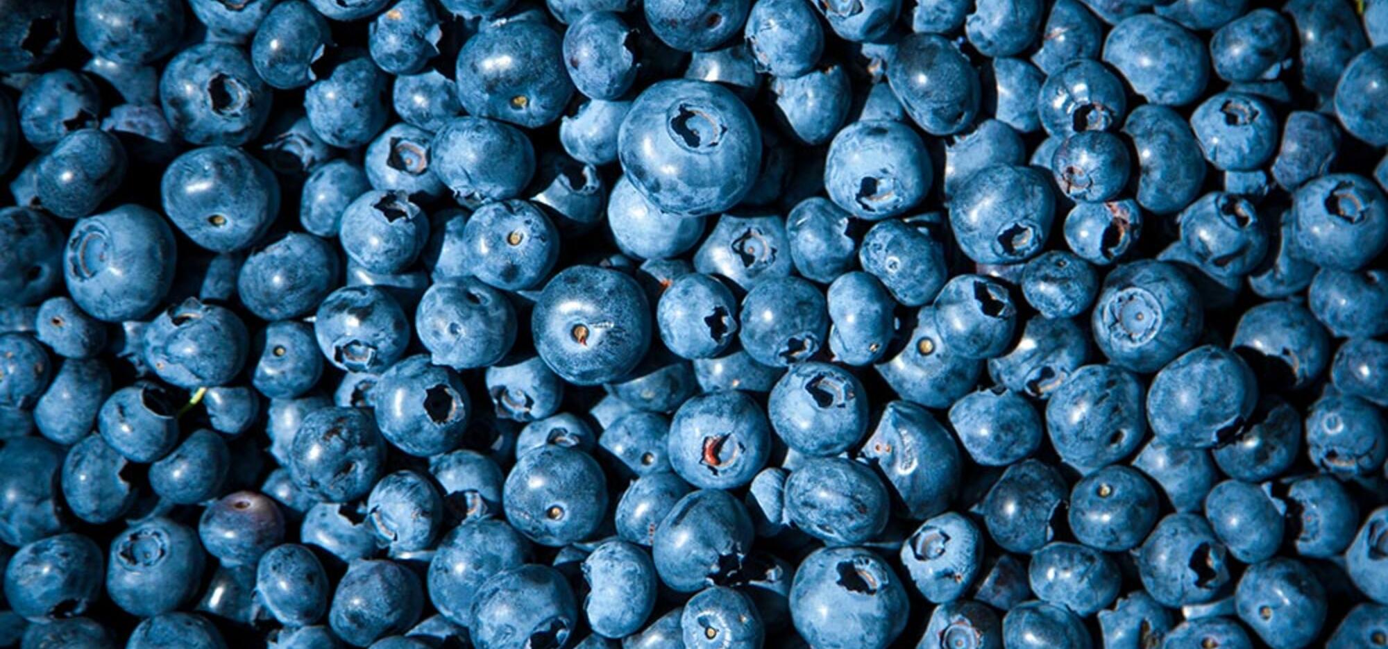 Bleuets